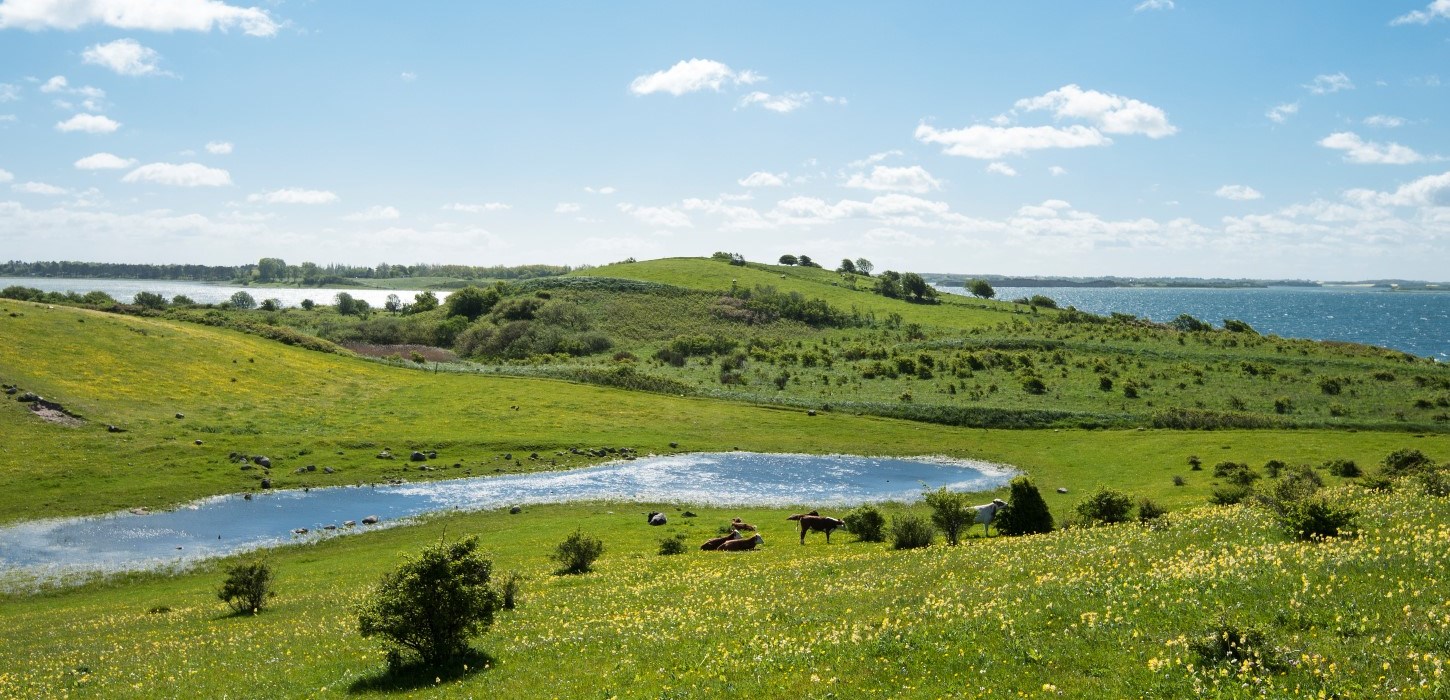 Vandreruter i Kerteminde VisitKerteminde
