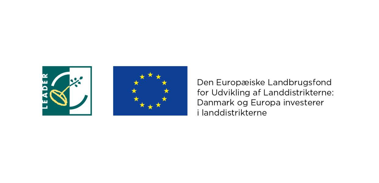 EU Logo